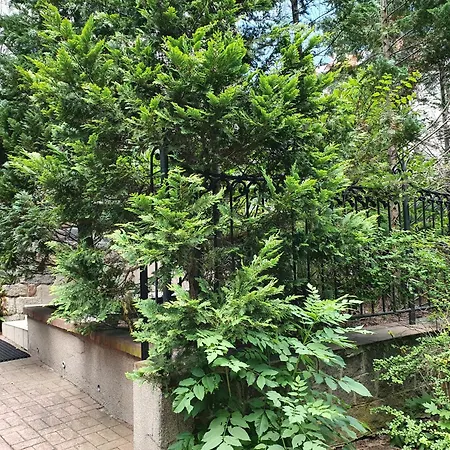 Апартаменти Johny 33 Сопот